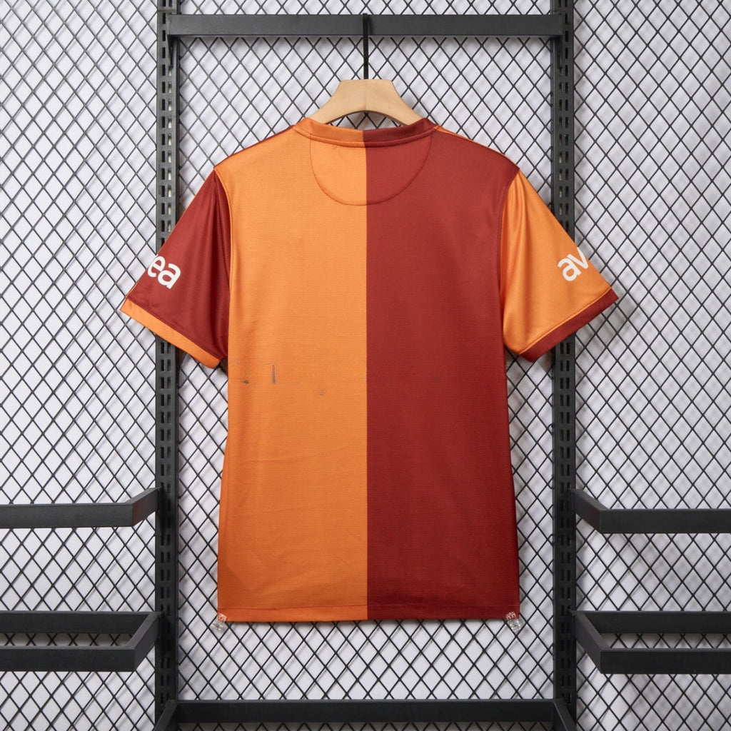 Galatasaray Home 2013/14