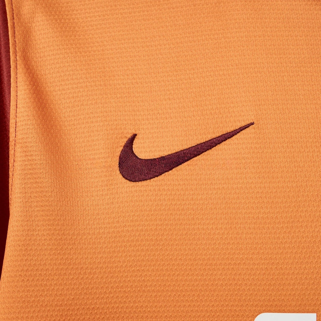 Galatasaray Home 2013/14