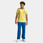 Brasilien Heim-Weltmeisterschaft 2026